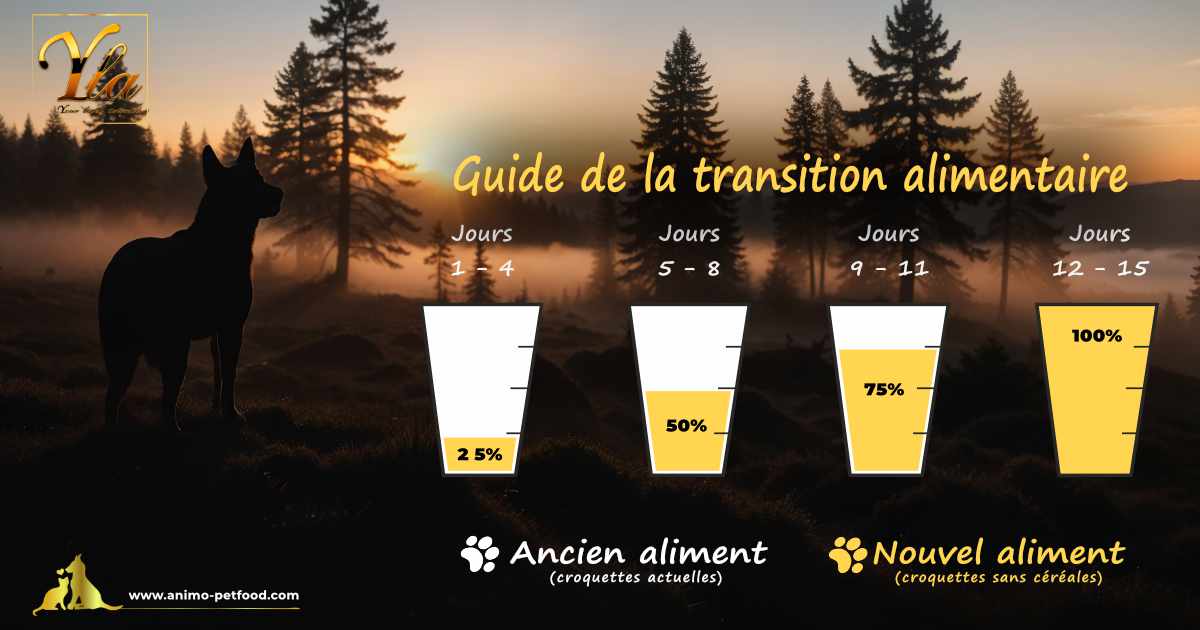 Guide de transition alimentaire pour chien vers des croquettes sans céréales au canard - phases de 15 jours pour une digestion optimale et adaptée aux chiens sensibles