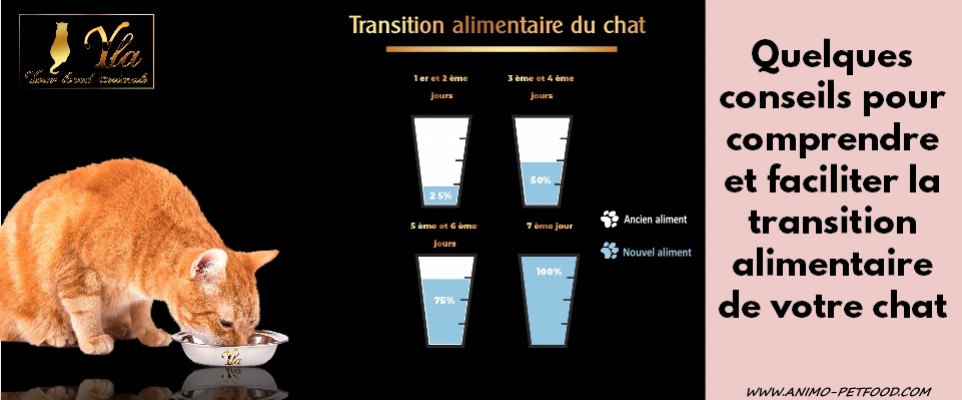 La transition alimentaire chez le chat - WanimoVéto