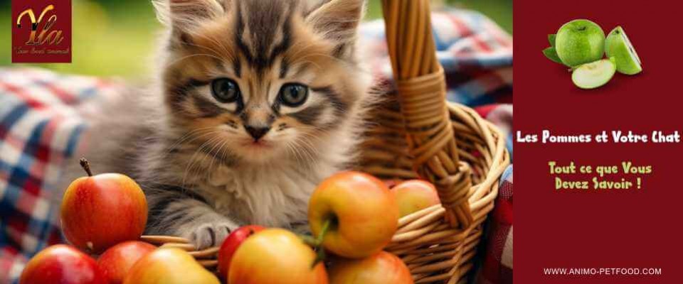 Peut-on donner de la pomme à un chat ?