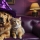 Fête d’halloween avec vos animaux de compagnie