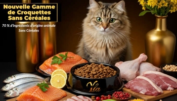 Nouvelle Gamme de Croquettes Sans Céréales pour Chats